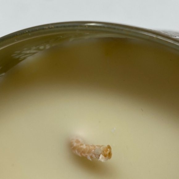 Bath & Body Works White Barn Luminary Blackberry Creme Frosting 3 Wick Candle - Picture 5 of 5